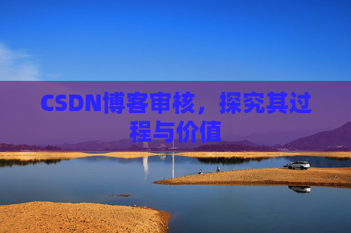 CSDN博客审核，探究其过程与价值